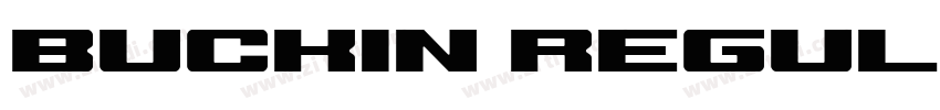 Buckin Regular Demo字体转换